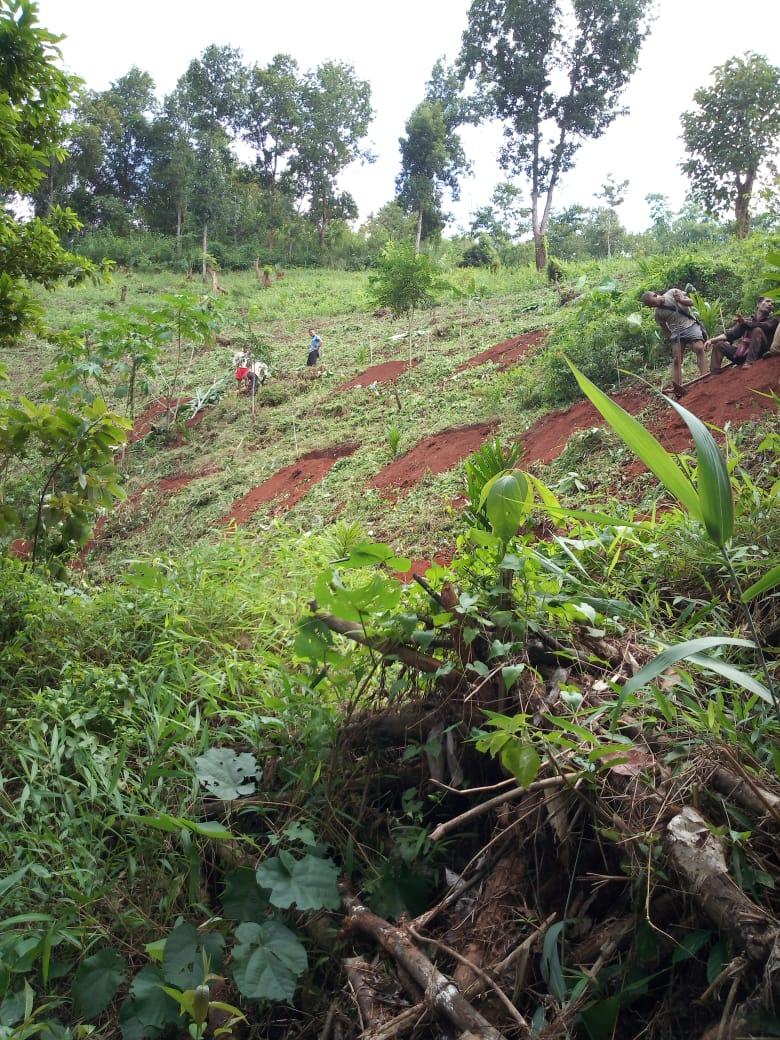 WhatsApp Image 2020-02-13 at 9.27.26 PM.jpeg